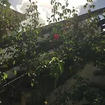 Flat da Dhéia